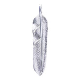 Tarowashimi M flight feather 02