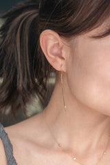 Snake Chain Ear Hooks