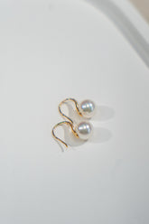 7.5-8mm Akoya Cultured Pearl Curve Studs