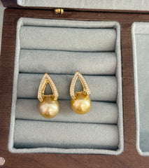 11mm Golden South Sea Cultured Pearl Stud Earrings