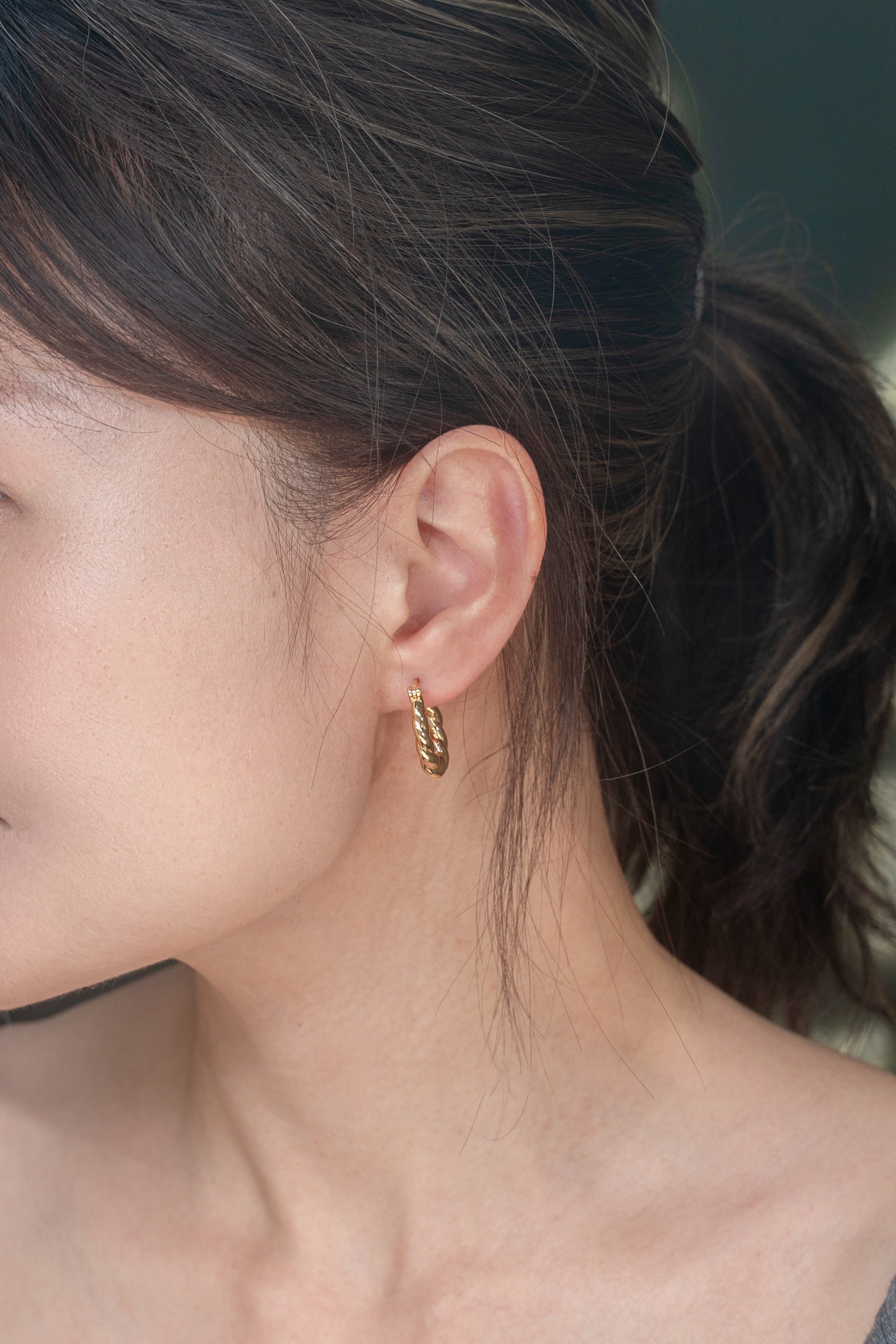 Twisted Hoops Earrings